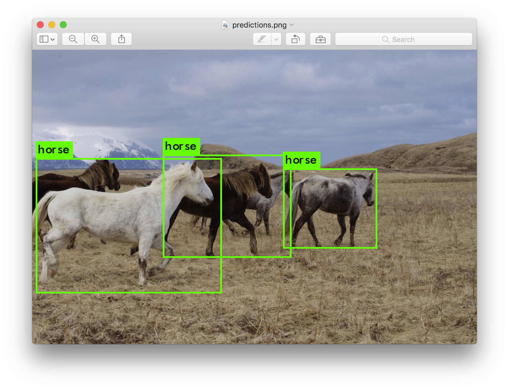 object detection